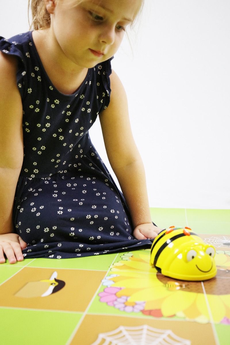 Robotics Activity Mat: Beehive Mat