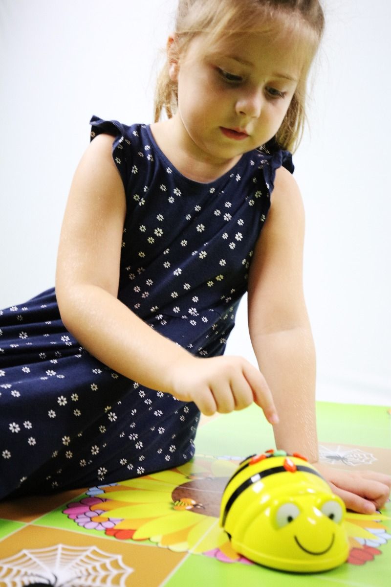 Robotics Activity Mat: Beehive Mat