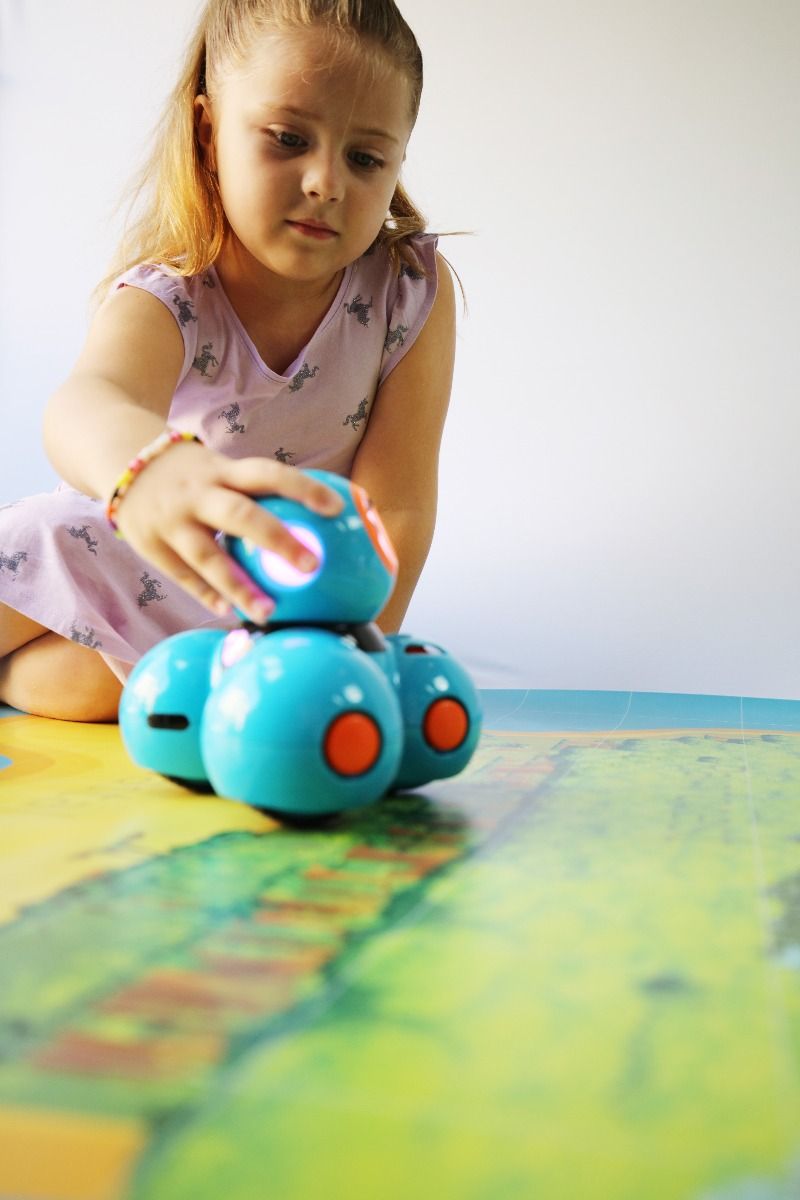 Robotics Activity Mat: Habitat Helpers