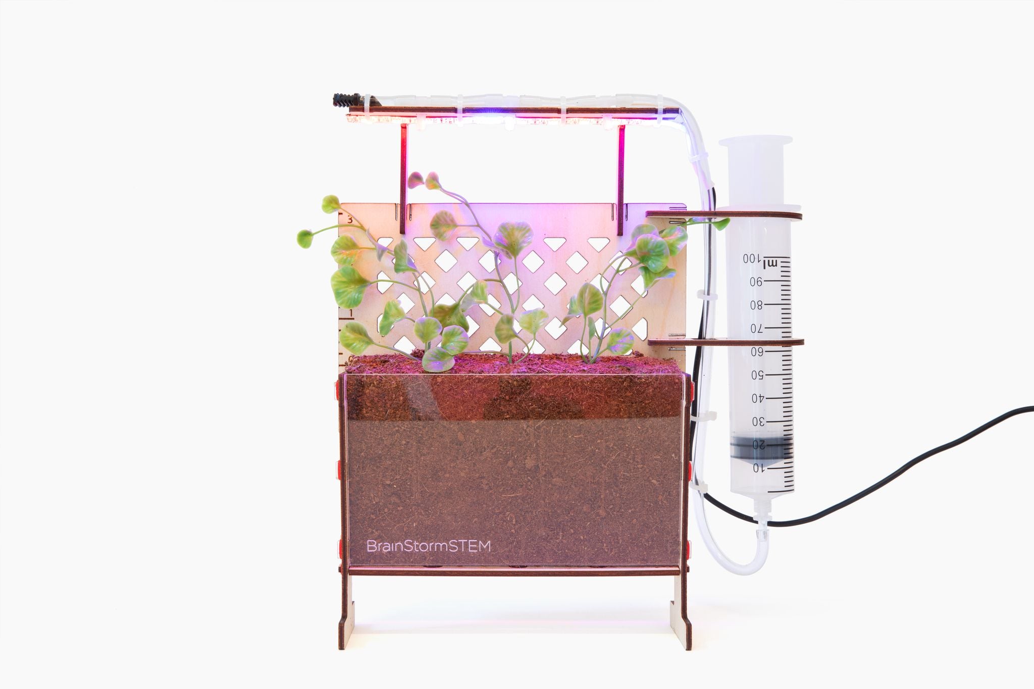 BrainStorm Seed Science STEM Kit – Class Pack (10 Kits + Educator Guide)